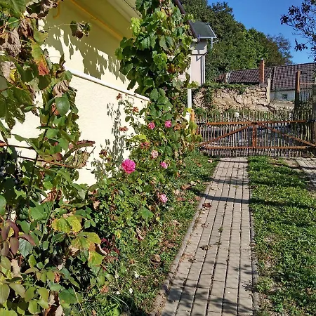 Lately Renovated בית כפרי Trenčín