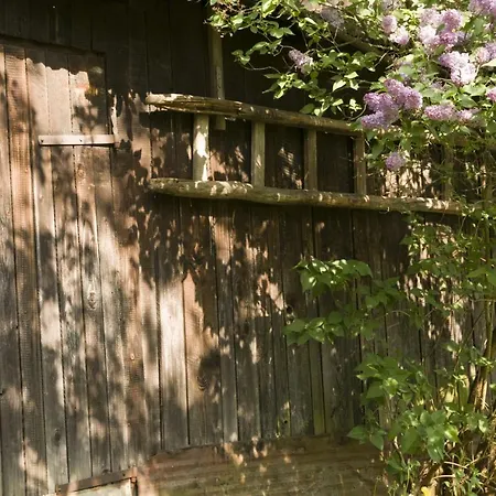 Lately Renovated * Trenčín