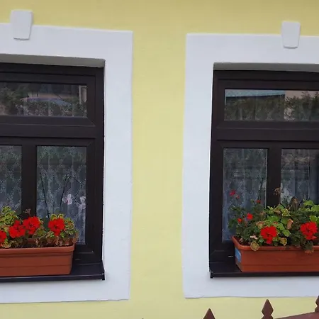 Lately Renovated * Trenčín